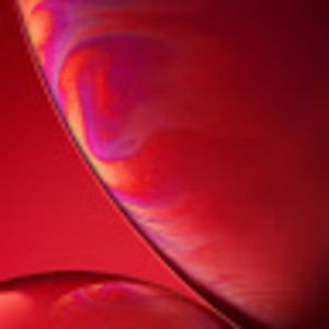 Meet your Posher, Kiyah